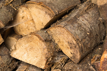 Log pile