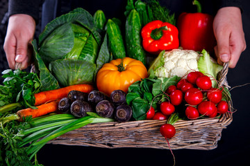 Bunch of fresh Colorful carrots with green leaves,Purple Carrot and Radishes on a grey stone Background. Vegetable.Food or Healthy diet concept.Vegetarian.Copy space for Text. selective focus.