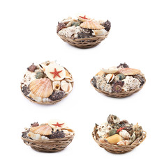 Wicker basket full of sea shells