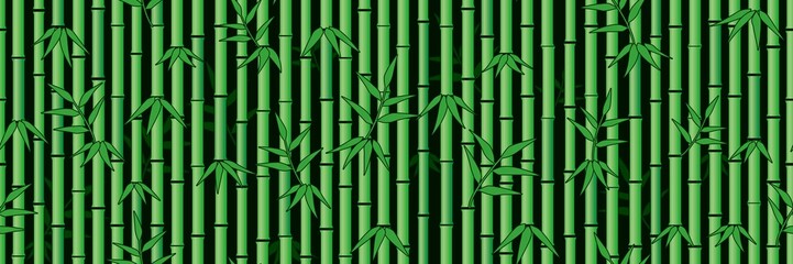 Bamboo background. Seamless pattern.Vector. 竹のパターン