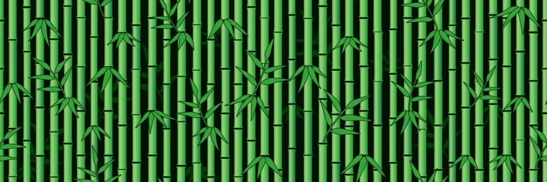 Bamboo background. Seamless pattern.Vector. 竹のパターン © tabosan