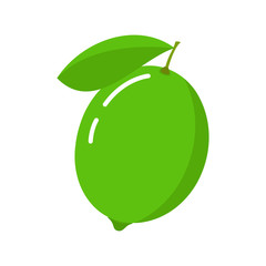 Lime icon. Vector illustration. Citrus fruit