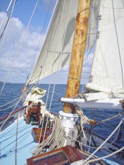 Fototapeta premium Sailing Falmouth 2