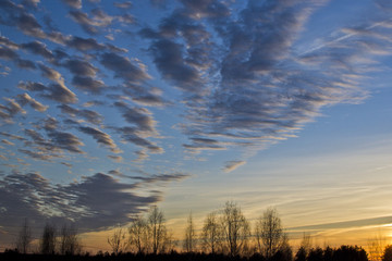Obraz premium Sunset, beautiful evening sky over the forest
