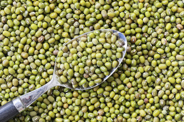 Green beans seed in a Silver spoon.