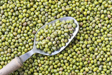 Green beans seed in a Silver spoon.