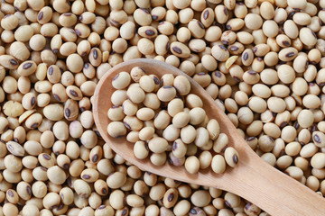 fresh soybean in wooden spoon.