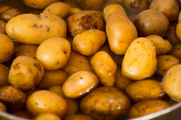 Fresh cooked potatoes on a pan, typical andean food
