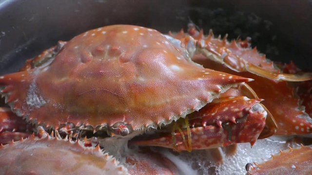 Cooking Steamed delicious crabs in boiling foam pot.