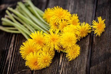 Mniszek lekarski © Olo