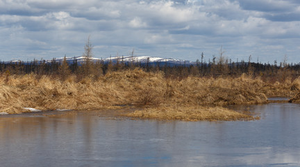 Fototapeta na wymiar Spring landscape in South Yakutia