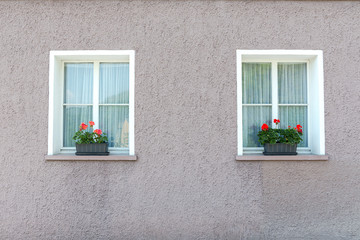 Two white windows with geraniums on the window bench and house lily colors