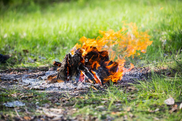 hot campfire on meadow