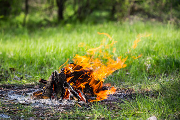 hot fire on meadow