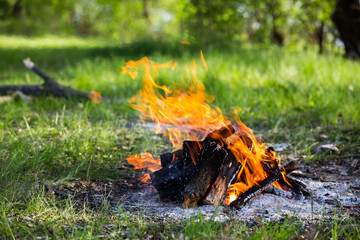 hot fire on meadow in forest