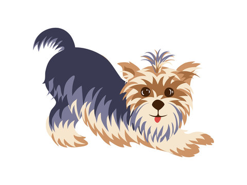 Yorkshire Terrier in a funny pose hand drawn painted cartoon
