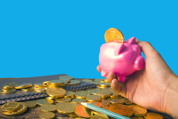 hand hold the piggy bank with gold coin