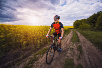 A male cyclist is riding on a picturesque yellow rapeseed field.