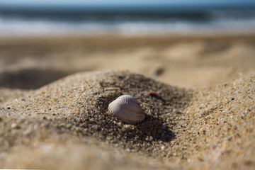 Fototapeta na wymiar Tesoro nella sabbia