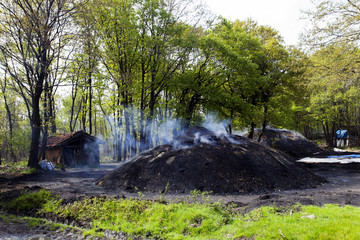 Wood charcoal making, forestry and forestry products
