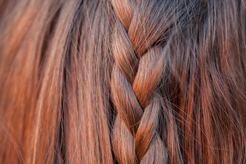 Naklejka premium Hairstyle concept. Back view Girl with beautiful coiffure. Texture of hair.