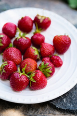 Strawberries on stone