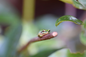 Staring Back at You