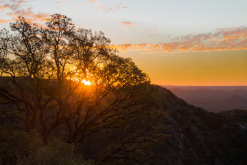 atardecer tras árbol y montañas