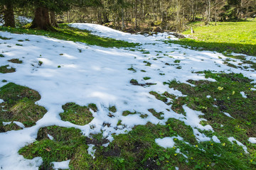 Meadow under snow