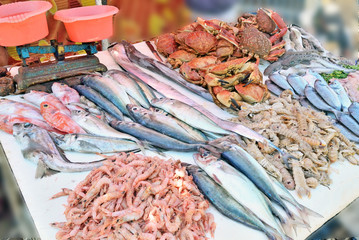 Sale of freshly caught fish in the market
