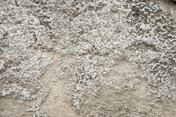 Wall of cement