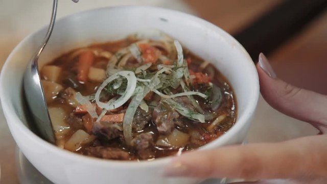 oriental uzbek soup lagman - Central Asian cuisine