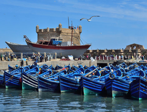Fishing boats at the seaport of Essaouira in Morocco