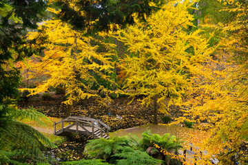 Alfred Nicholas Memorial Gardens