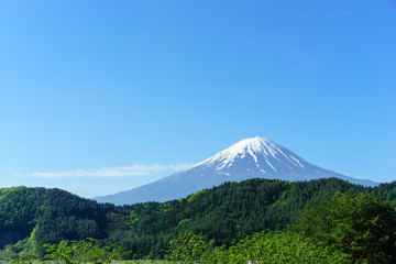 Naklejka premium Mt. Fuji z niebieskim niebem