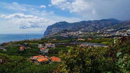 Fototapeta na wymiar Madeira - View over green banana plants and houses near the City Funchal