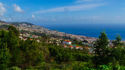 Madeira - View down to blue water of the ocean from Monte with green trees