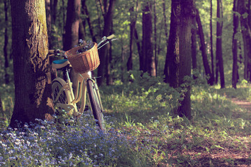  summer walk in nature/ Basket with flowers on a bicycle leaning against a tree in the forest 