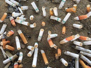 Smoked Cigarettes Butts in ashtray