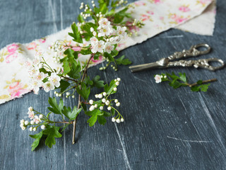 Hawthorn blossom and roses ribbon on a blackboard with scissors 