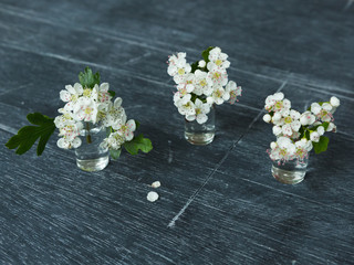 Three tiny vases of hawthorn blossom on a blackboard