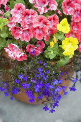 Garden Flower Container