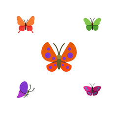 Fototapeta na wymiar Flat Monarch Set Of Milkweed, Moth, Summer Insect And Other Vector Objects. Also Includes Butterfly, Archippus, Milkweed Elements.