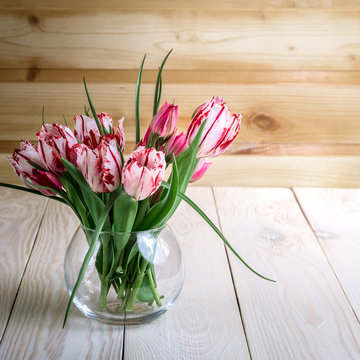 Image with tulips