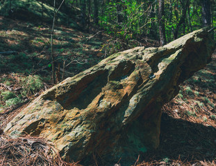 wolf rock
