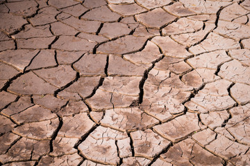 Dry arid cracked landscape