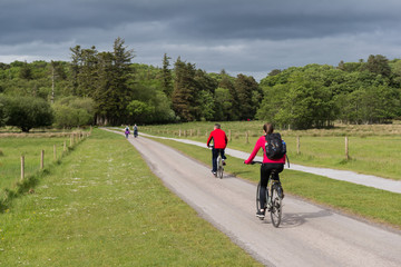 cyclists and walkers on a trail path in Killarney national park