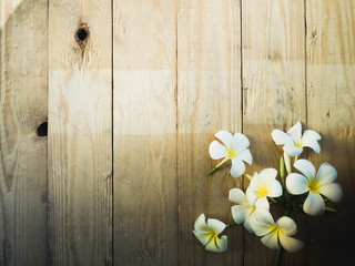 Obraz premium The white Plumeria place on wooden background