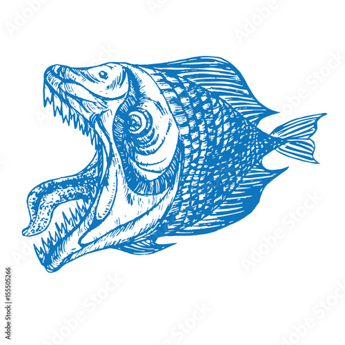 "Piranhas fish profile, open mouth with sharp teeth and