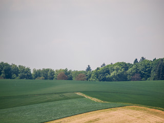 Naklejka premium Ackerbau